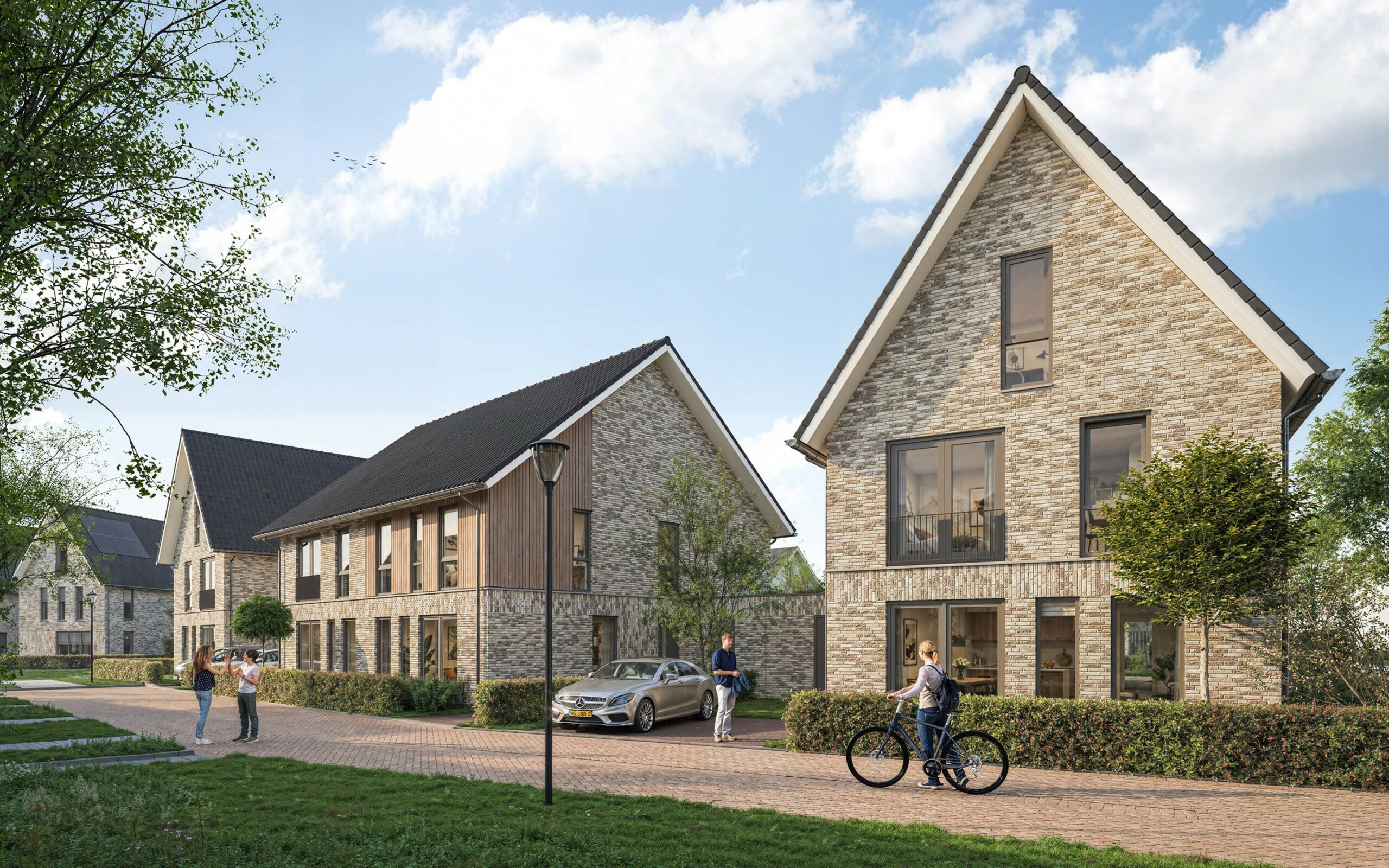 De-Zoom_exterieur_Lupine2